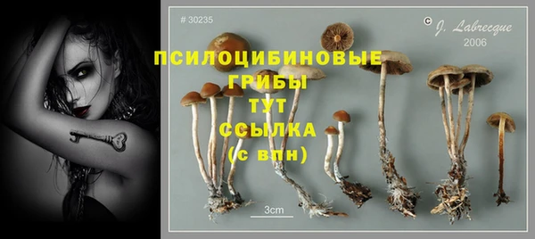 apvp Алзамай