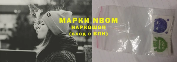 apvp Алзамай