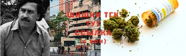 apvp Алзамай